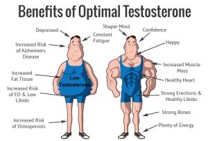 Testosterone benefits