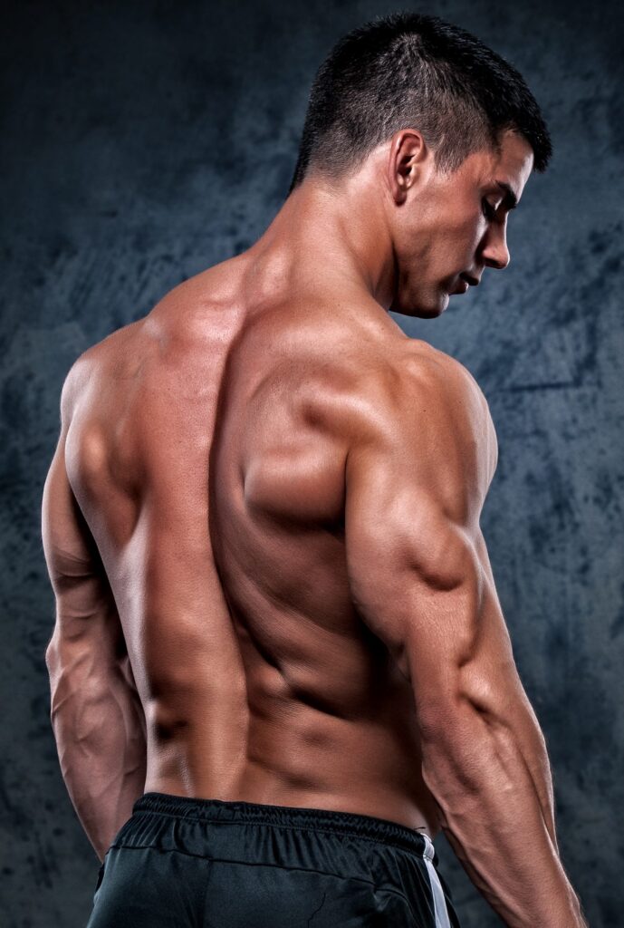 muscular-man-from-back-dianabol