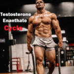 Testosterone Enanthate Cycle
