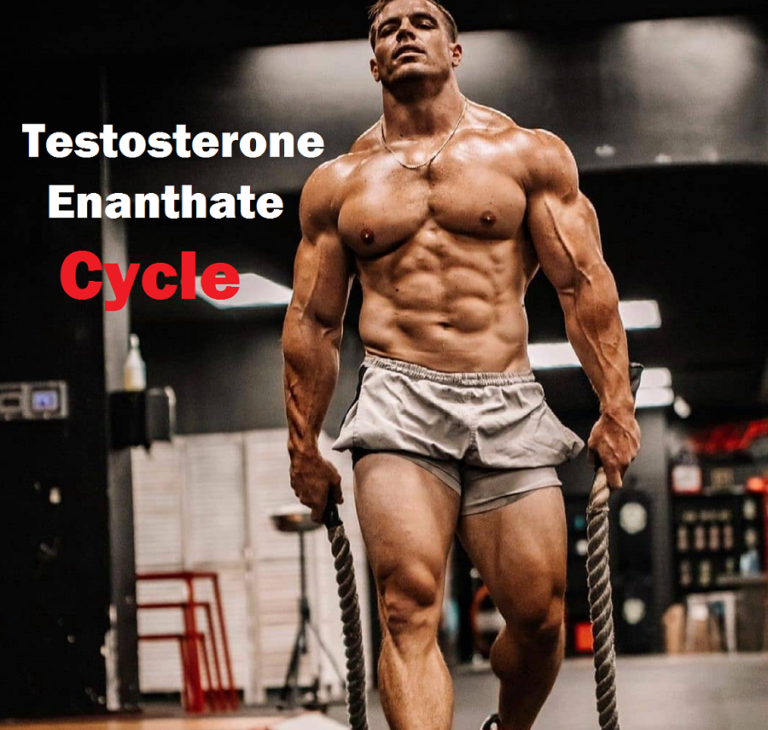 testosterone-enanthate-cycle-buy-test-e-land-of-marbles