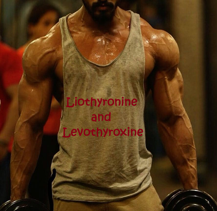 Liothyronine-And-Levothyroxine