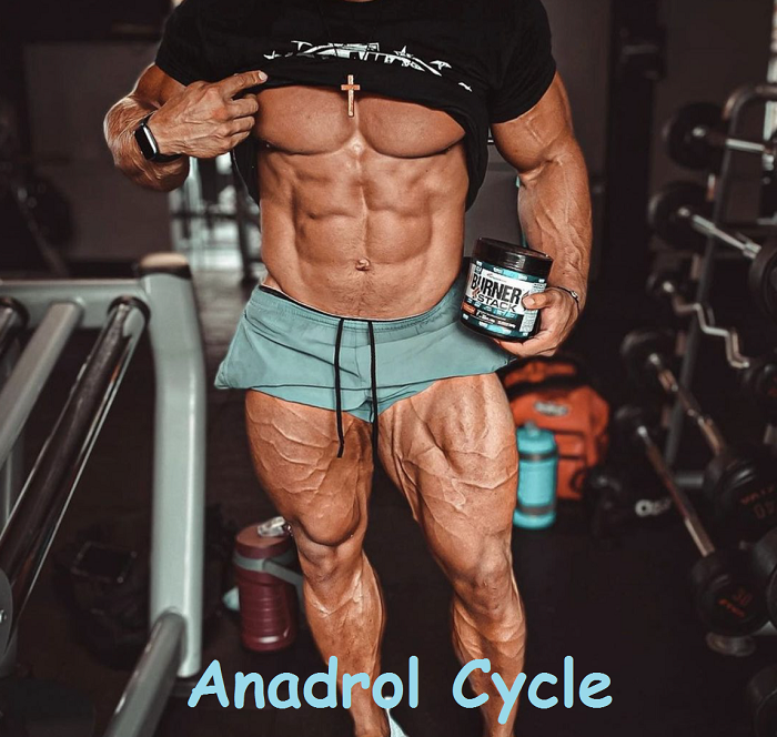 Anadrol-Cycle-landofmarbles