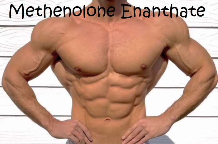 Methenolone-Enanthate-landofmarbles